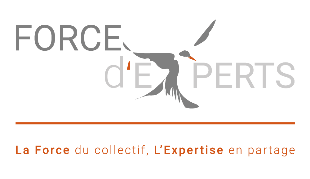Force d'Experts