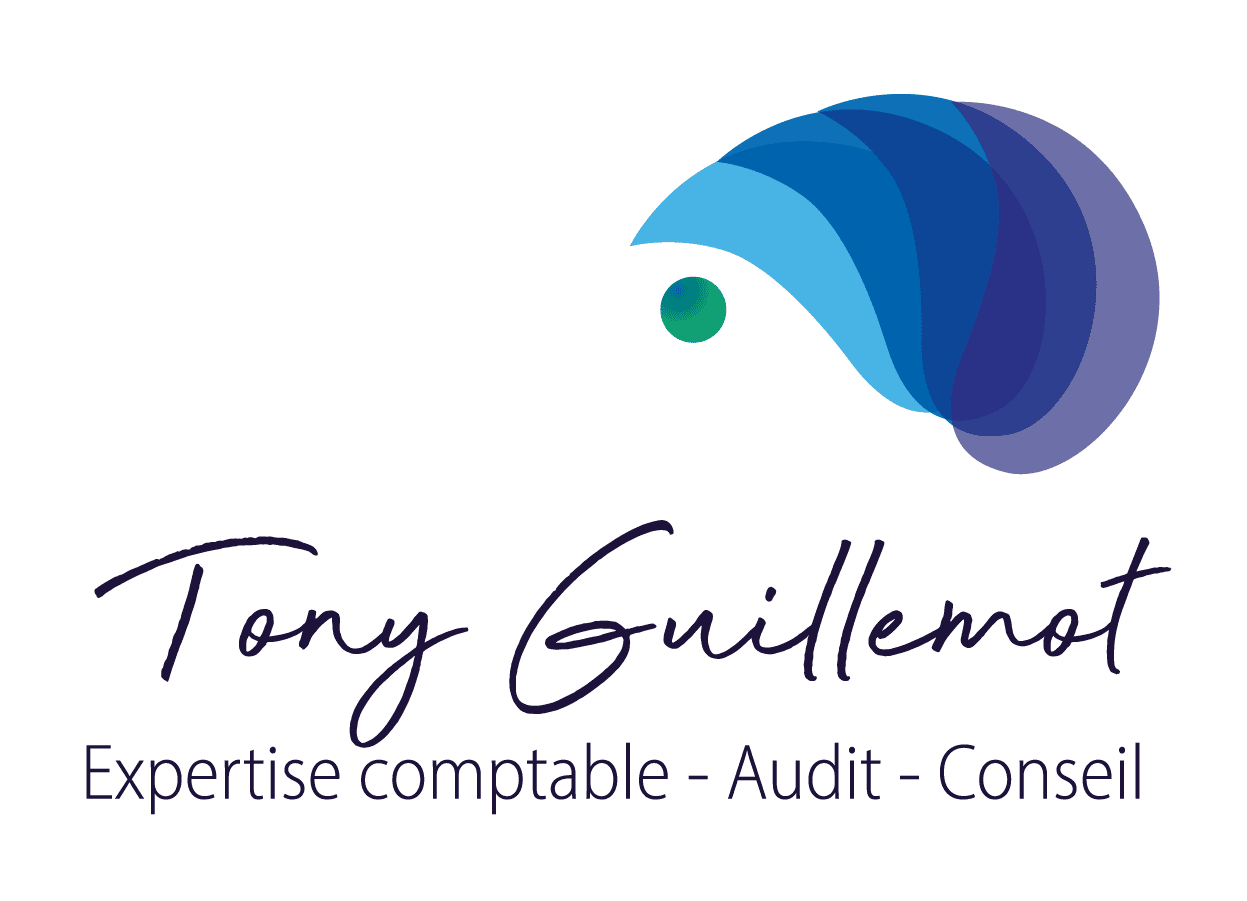 logo Tony Guillemot