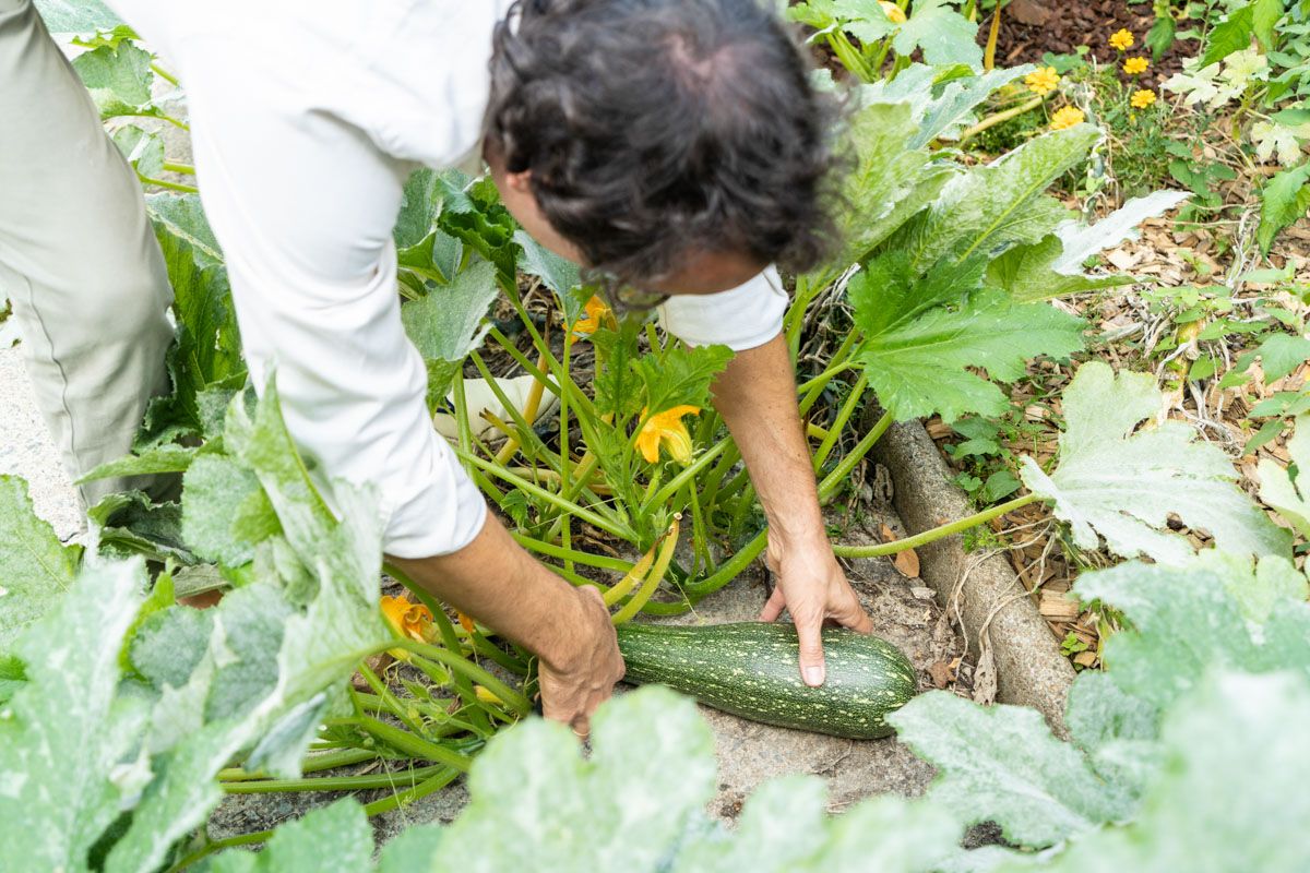 média de Audit et Capital