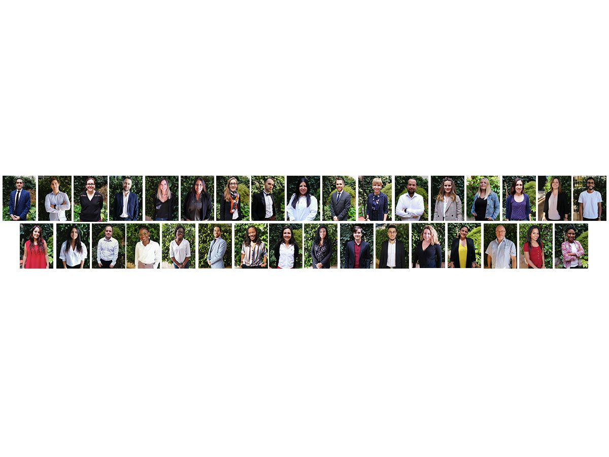 header Stengelin