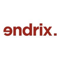 logo Endrix