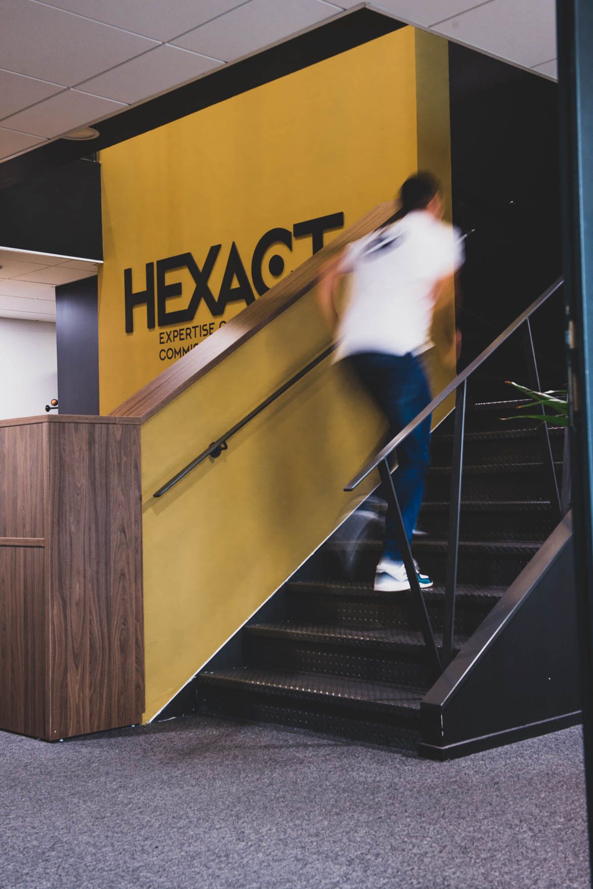 média de Hexact