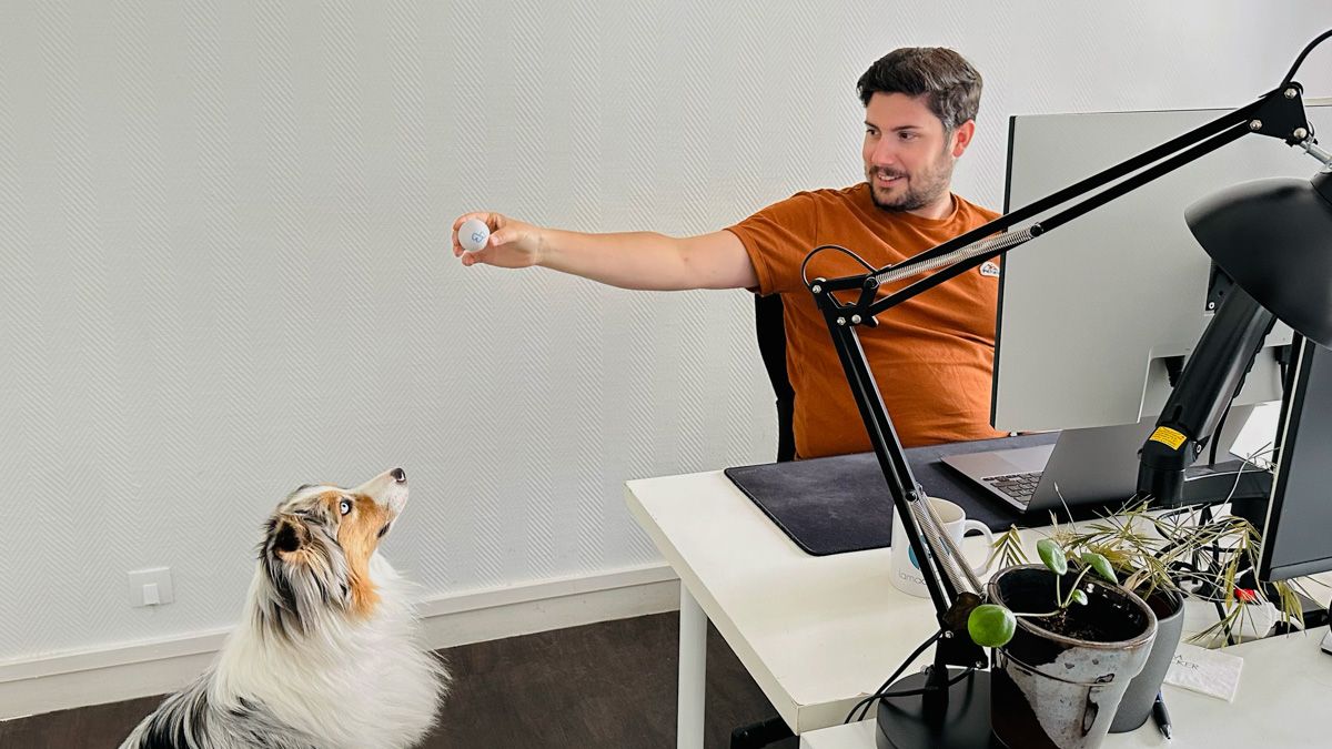 média de Lamacompta