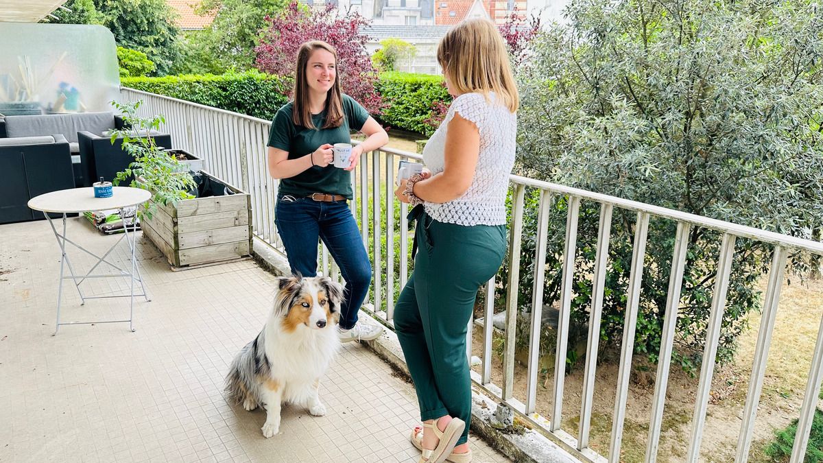 média de Lamacompta