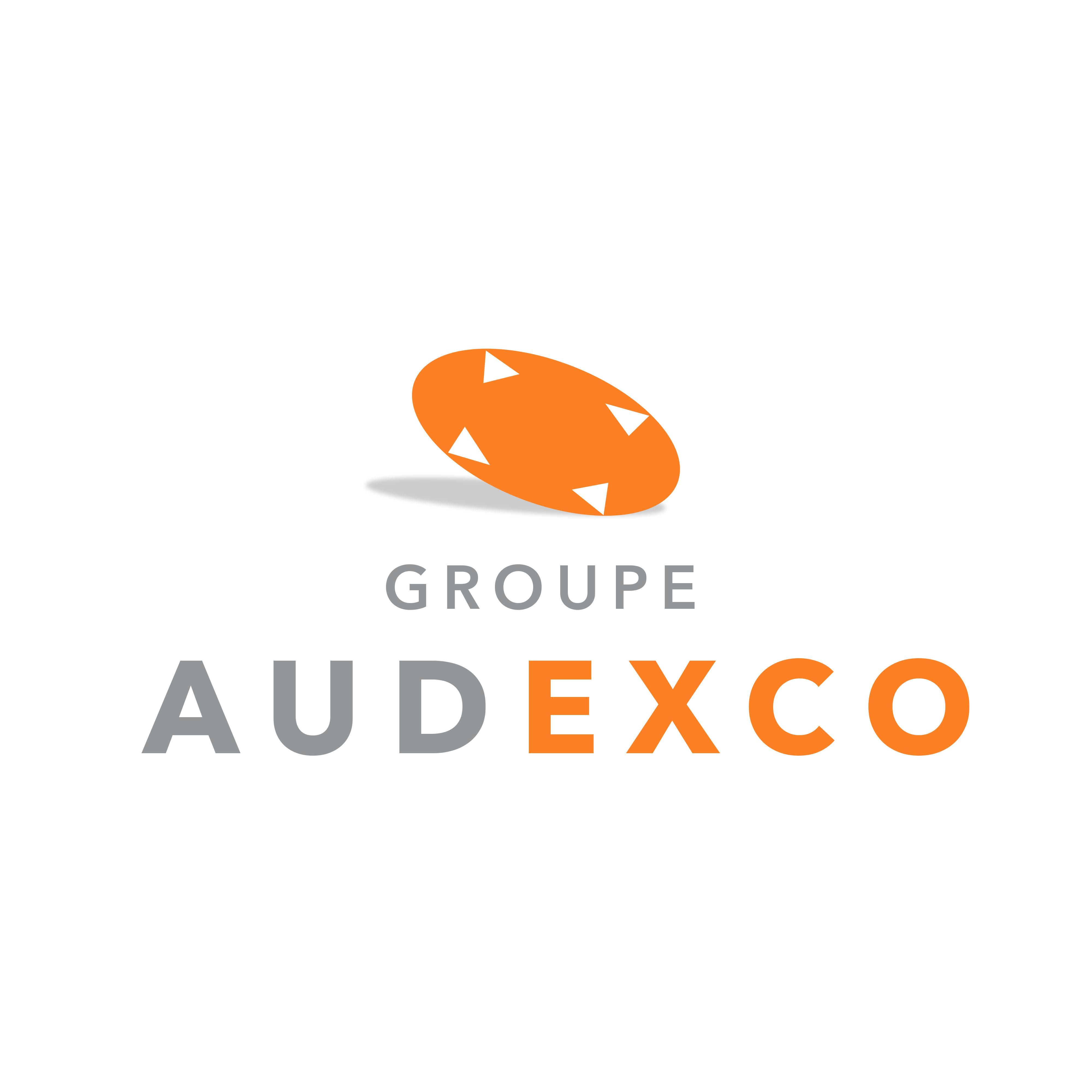 logo Groupe AUDEXCO