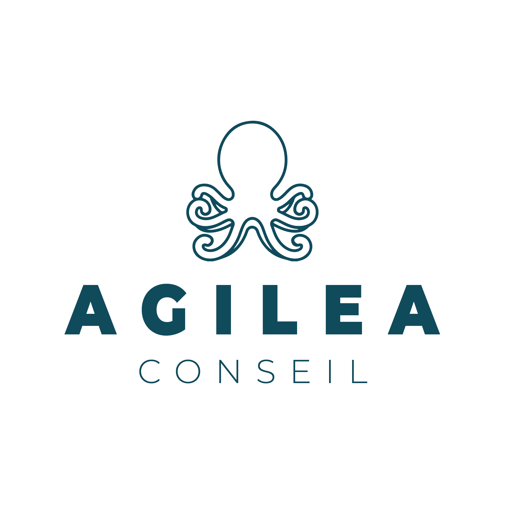 logo Agilea Conseil