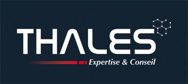 logo Thales Expertise & Conseil