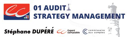 logo 01 Audit