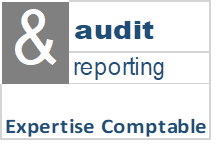 logo Audit & Reporting