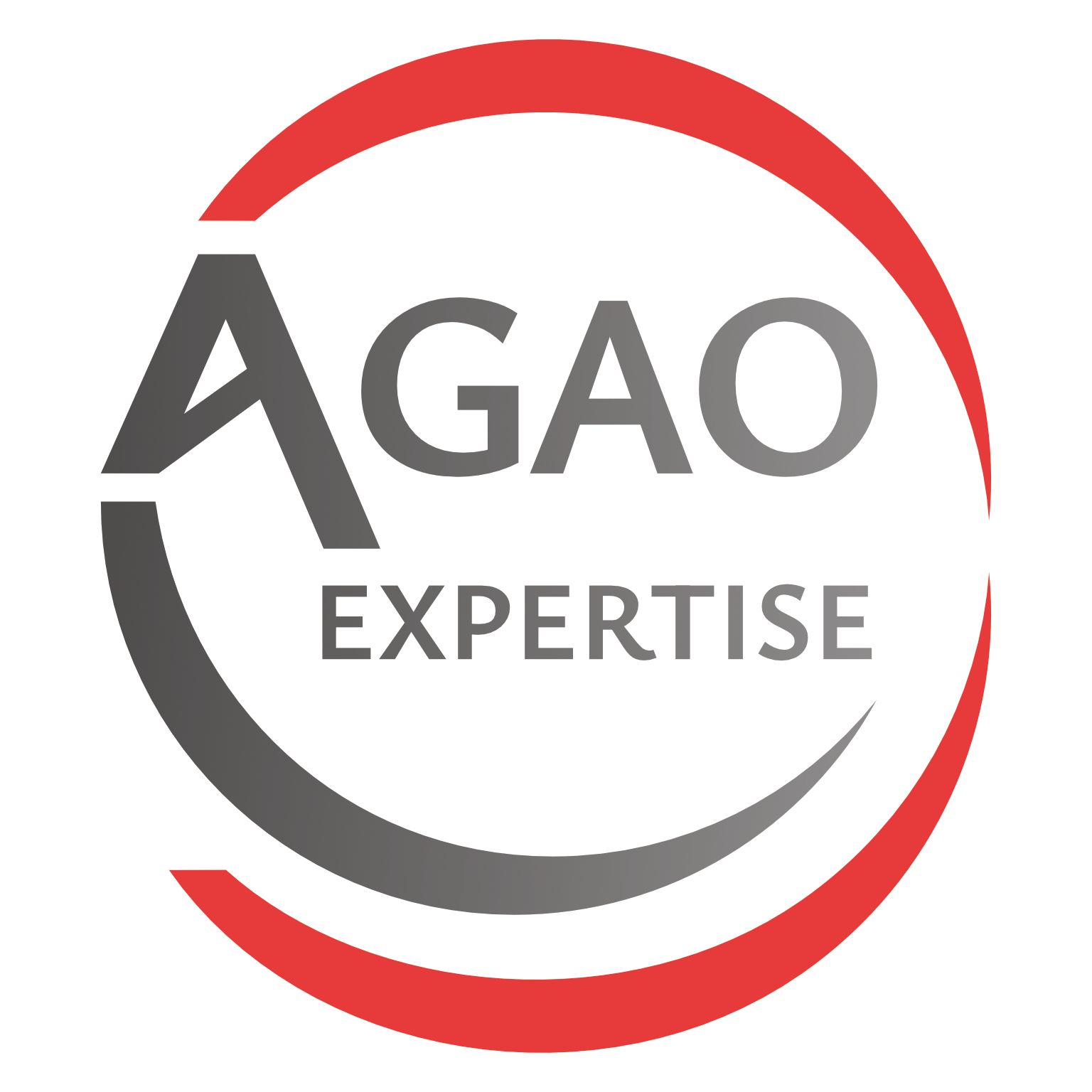 logo AGAO EXPERTISE