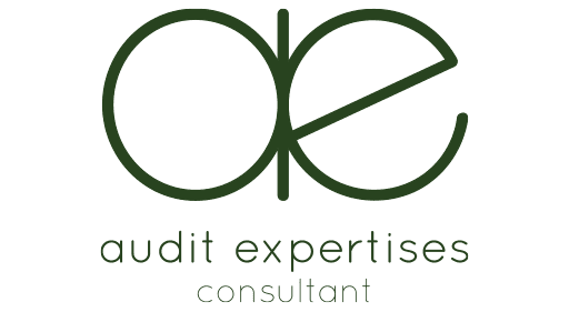 Audit Expertises Consultant