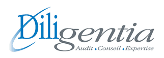 logo Diligentia