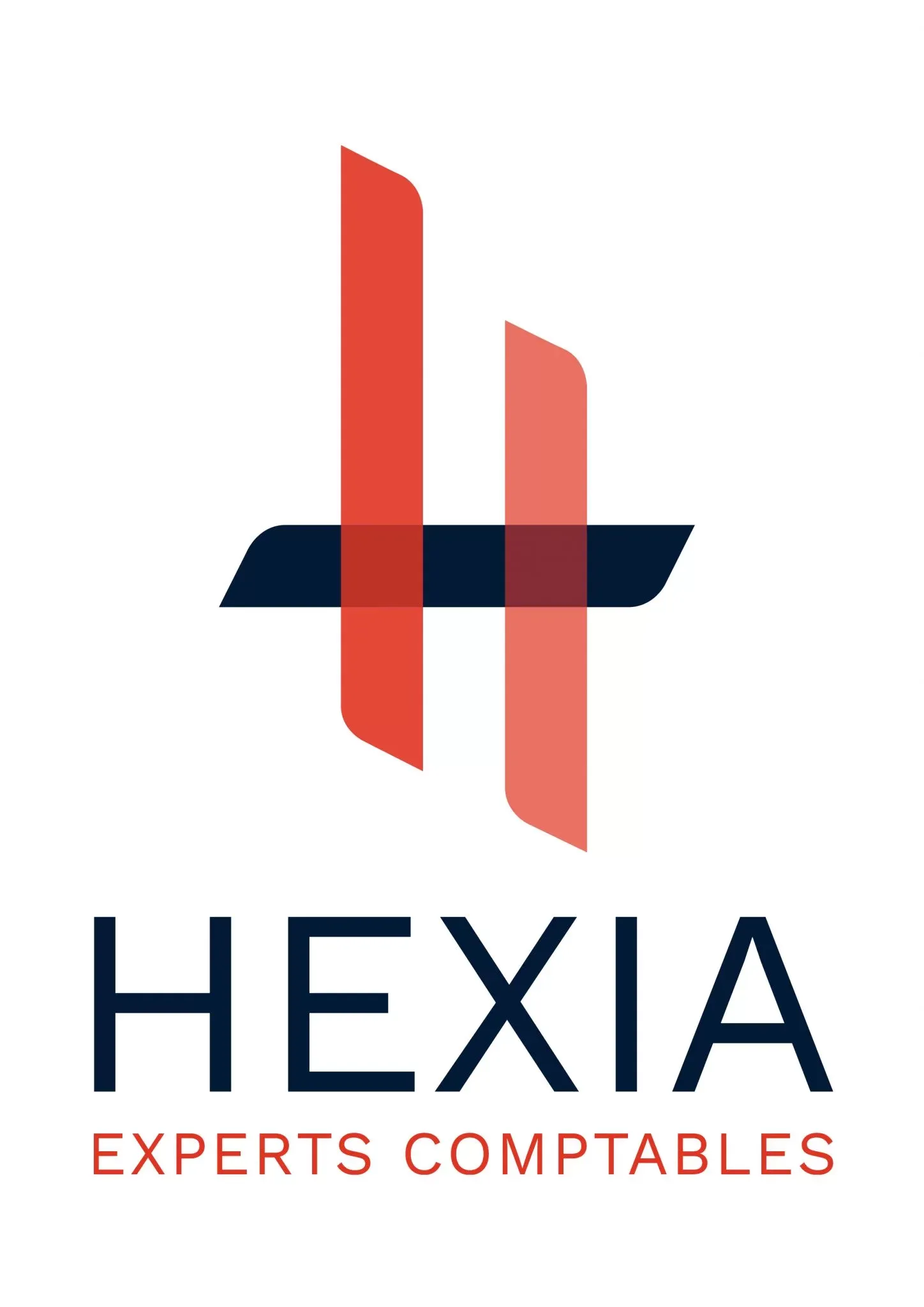 logo Hexia Experts