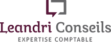 logo Leandri Conseils