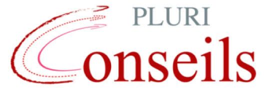 Pluri Conseils
