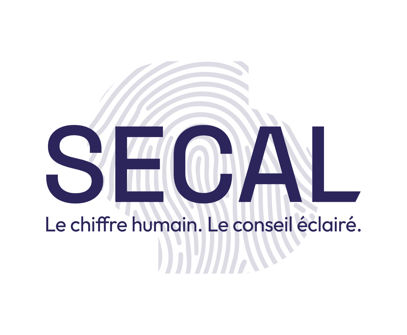 logo SECAL - Société d'Expertise Comptable Aquitaine Limousin