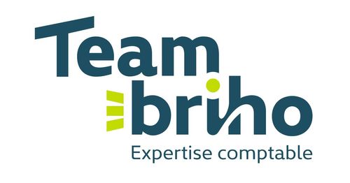 Logo de Teambriho