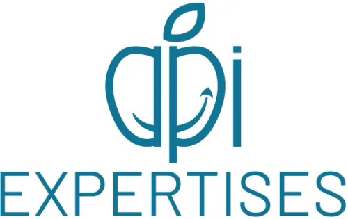 Logo de API Expertises