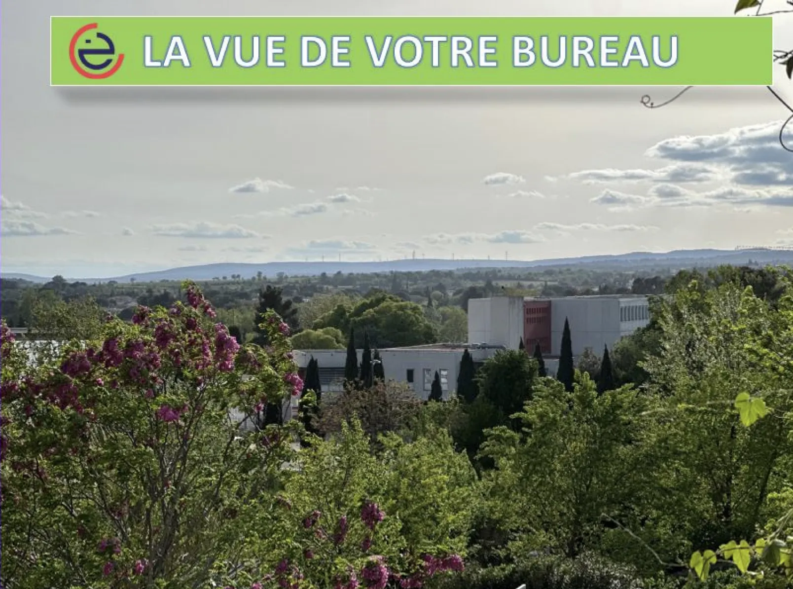 média de Alcamisi Expertise