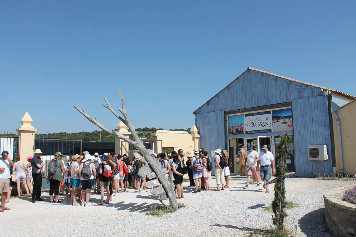 média de Stratégie Conseils