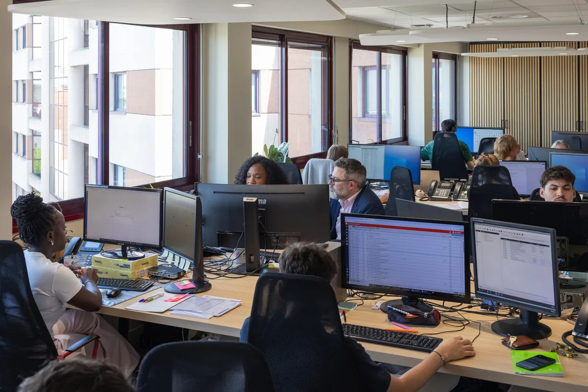 média de Fokus Experts