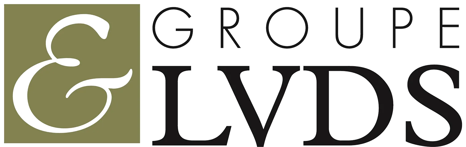 logo Groupe LVDS