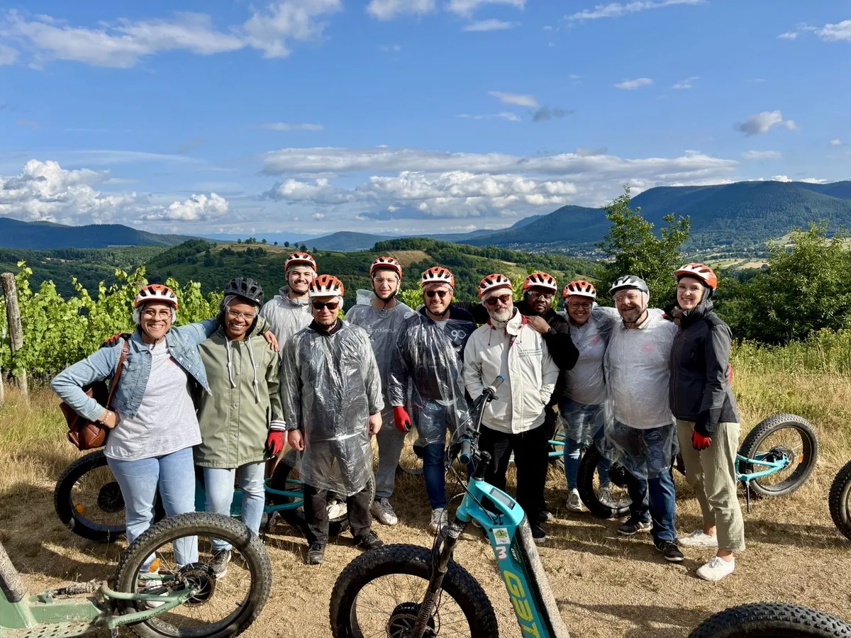 média de Fokus Experts