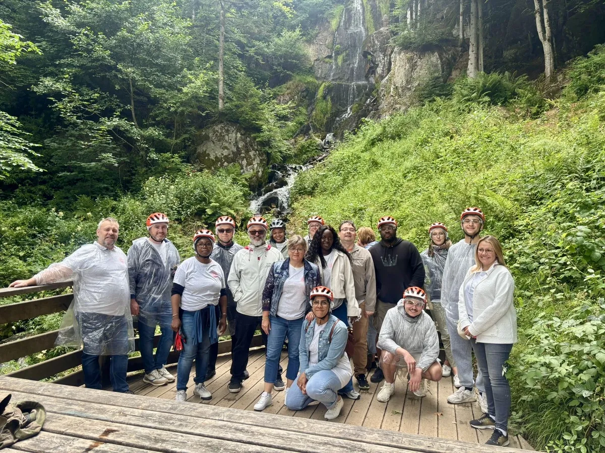 média de Fokus Experts