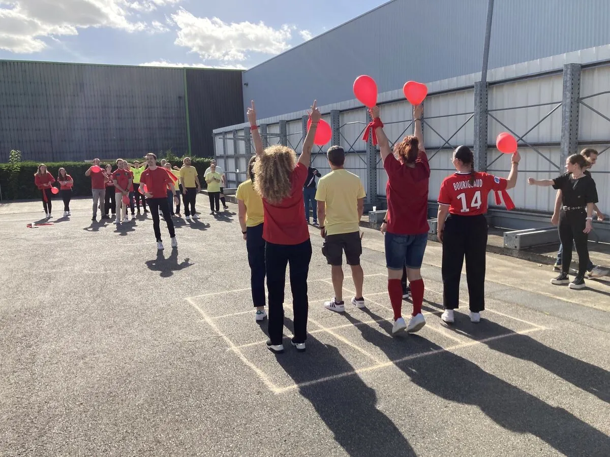 média de Excelis Conseil