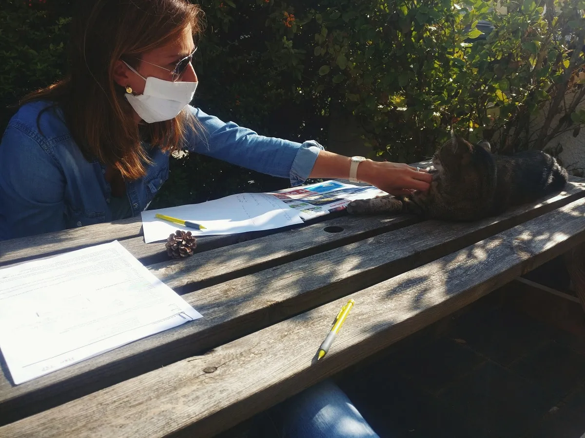 média de MCG Conseils