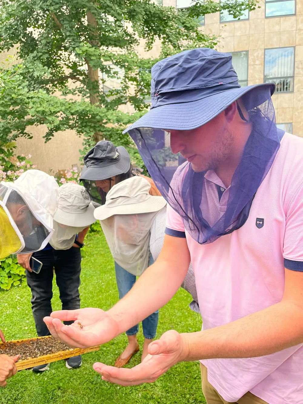 média de GMBA Walter Allinial