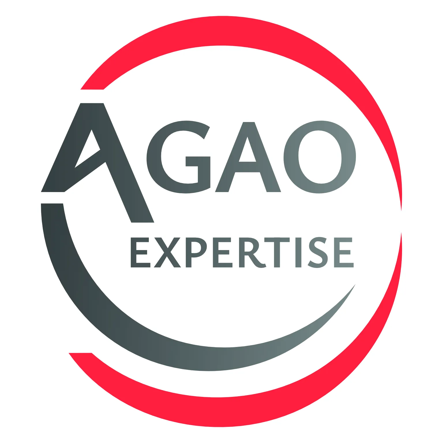 logo AGAO EXPERTISE
