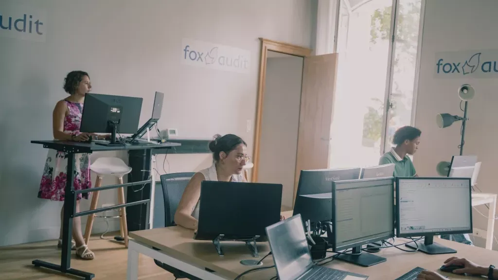 média de Fox Audit
