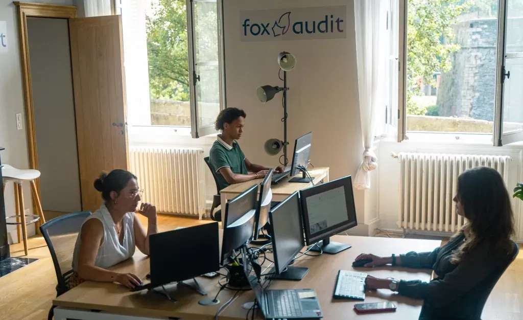 média de Fox Audit